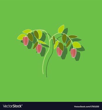 Paper sticker on background of plant capsicum vector image