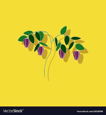 Paper sticker on background of plant capsicum vector image