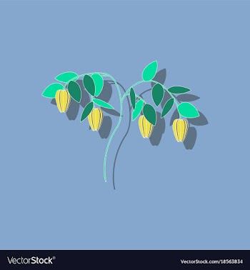 Paper sticker on background of plant capsicum vector image