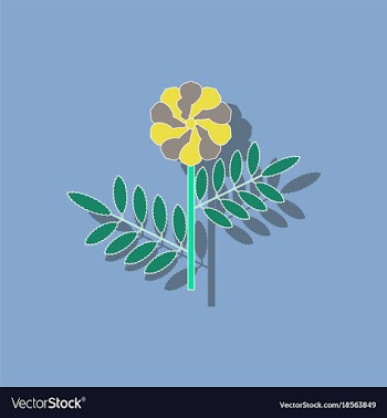 Paper sticker on background of plant tagetes vector image