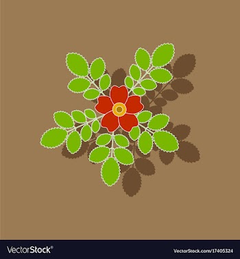 Paper sticker on background of rosa majalis vector image