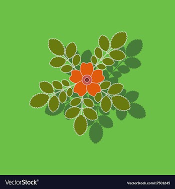 Paper sticker on background of rosa majalis vector image