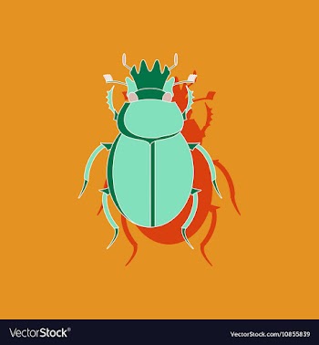 Paper sticker on background of scarab vector image