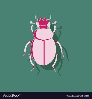 Paper sticker on background of scarab vector image