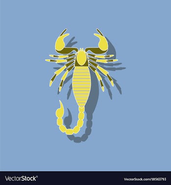 Paper sticker on background of scorpio vector image