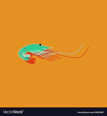 Paper sticker on background of shrimp vector image