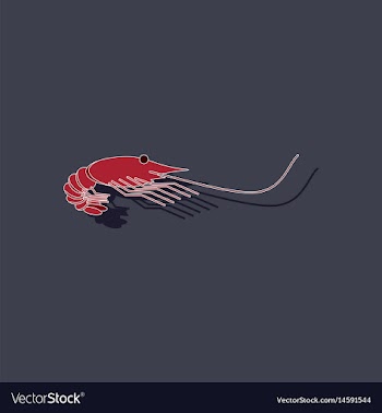 Paper sticker on background of shrimp vector image