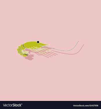 Paper sticker on background of shrimp vector image