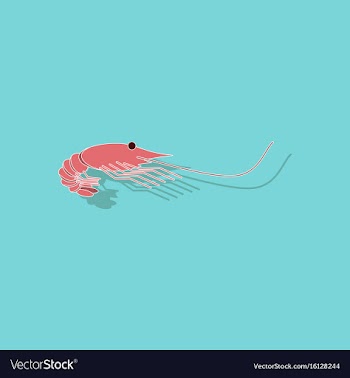 Paper sticker on background of shrimp vector image