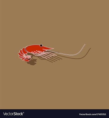 Paper sticker on background of shrimp vector image