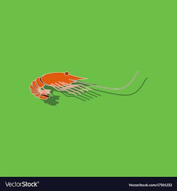 Paper sticker on background of shrimp vector image