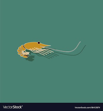 Paper sticker on background of shrimp vector image