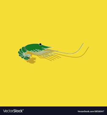 Paper sticker on background of shrimp vector image