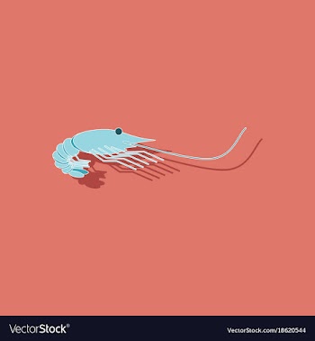 Paper sticker on background of shrimp vector image