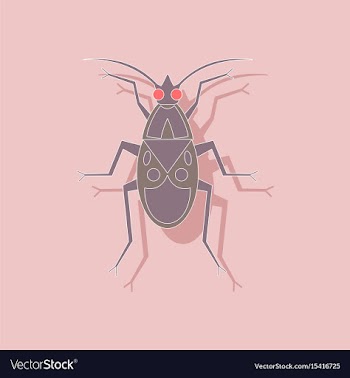 Paper sticker on background of soldier bug vector image