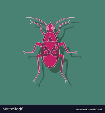 Paper sticker on background of soldier bug vector image