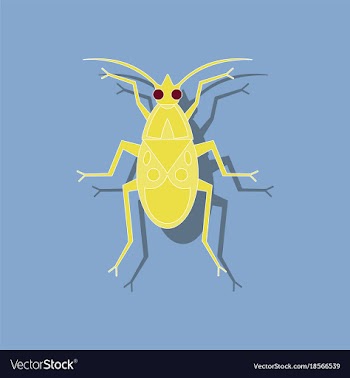 Paper sticker on background of soldier bug vector image