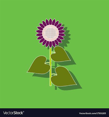 Paper sticker on background of sunflower vector image