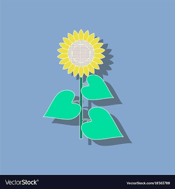 Paper sticker on background of sunflower vector image