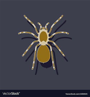 Paper sticker on background of tarantula vector image