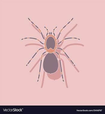 Paper sticker on background of tarantula vector image