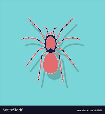 Paper sticker on background of tarantula vector image