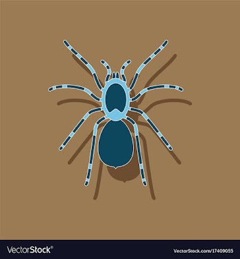 Paper sticker on background of tarantula vector image