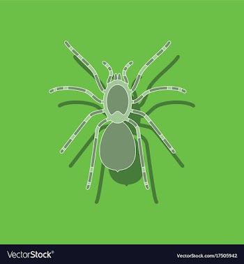 Paper sticker on background of tarantula vector image