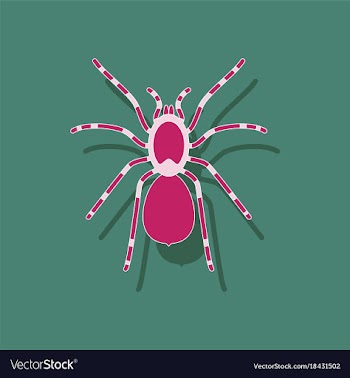 Paper sticker on background of tarantula vector image