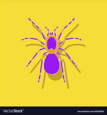 Paper sticker on background of tarantula vector image
