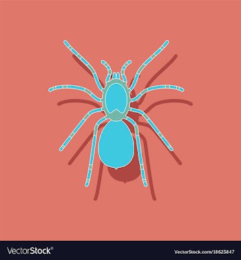 Paper sticker on background of tarantula vector image