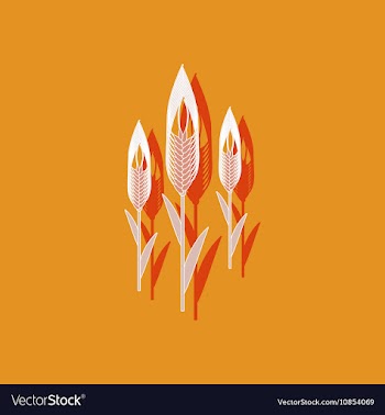 Paper sticker on background of triticum vector image
