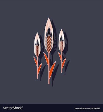 Paper sticker on background of triticum vector image
