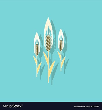 Paper sticker on background of triticum vector image