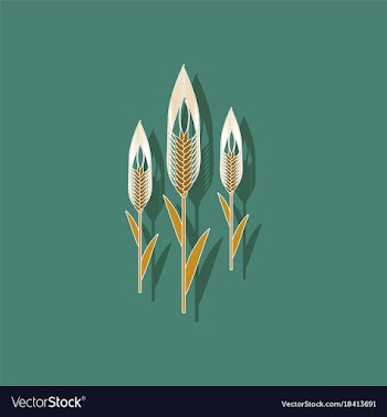 Paper sticker on background of triticum vector image