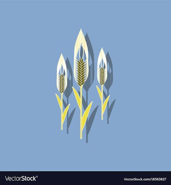 Paper sticker on background of triticum vector image