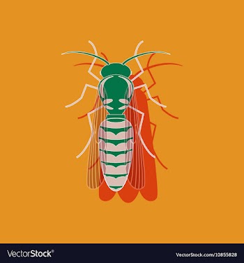 Paper sticker on background of wasp vector image