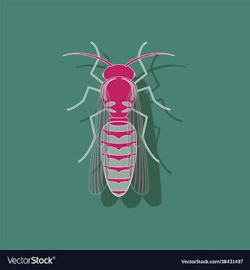 Paper sticker on background of wasp vector image