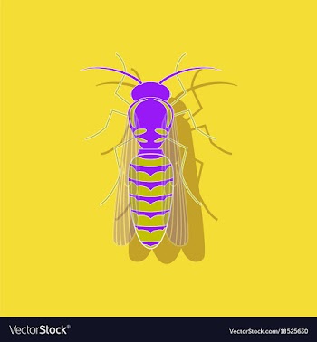 Paper sticker on background of wasp vector image