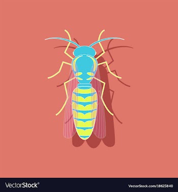 Paper sticker on background of wasp vector image