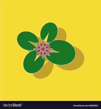 Paper sticker on background of water lily vector image