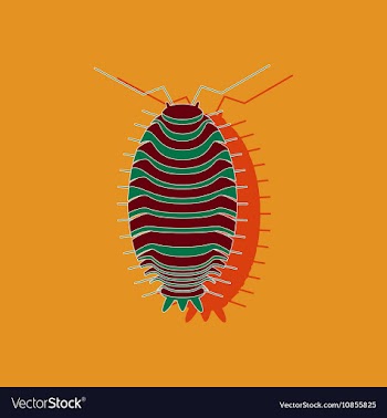 Paper sticker on background of wood louse vector image