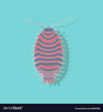 Paper sticker on background of wood louse vector image