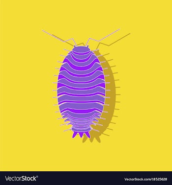 Paper sticker on background of wood louse vector image