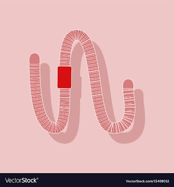 Paper sticker on background of worm vector image