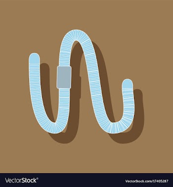Paper sticker on background of worm vector image