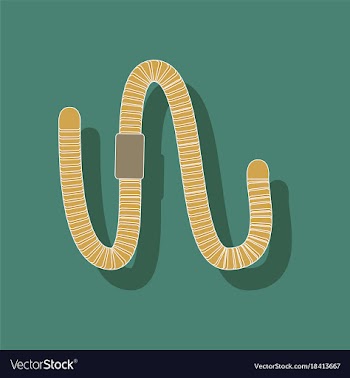 Paper sticker on background of worm vector image