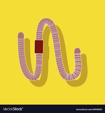 Paper sticker on background of worm vector image