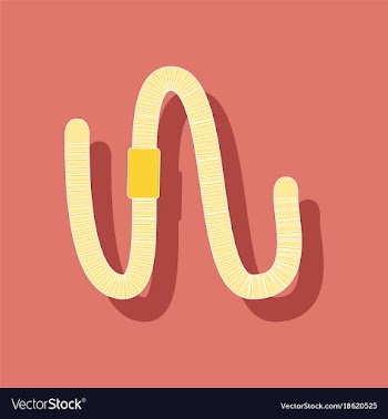 Paper sticker on background of worm vector image