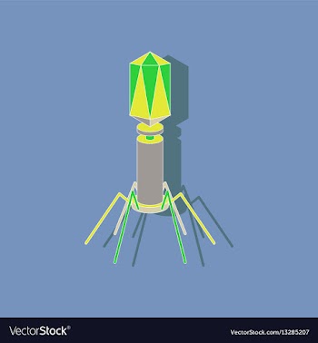 Paper sticker on stylish background bacteriophage vector image